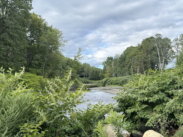 Gold Brook Campground, LLC Picture 2