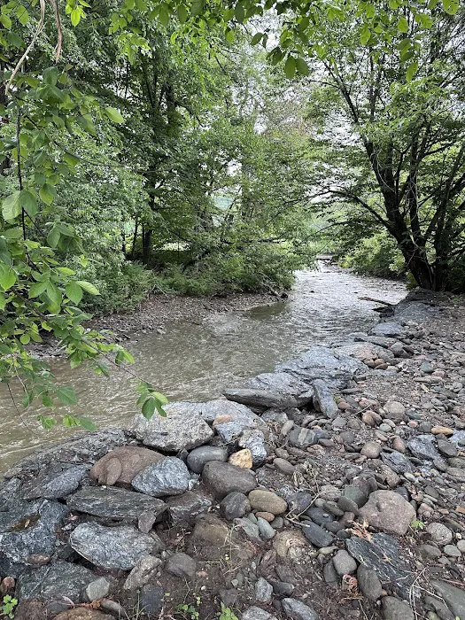 Gold Brook Campground, LLC Picture 6