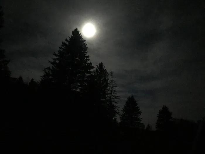 Vermont Freedom Campground Picture 8