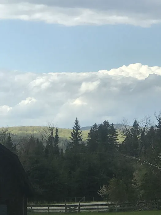 Vermont Freedom Campground Picture 4