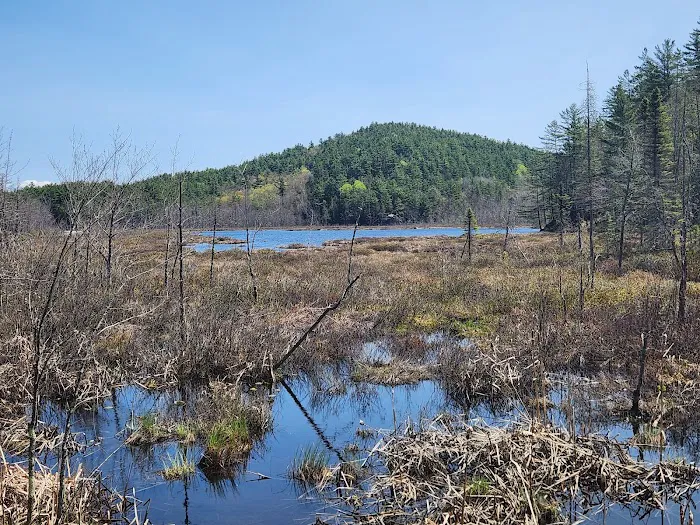 Lincoln Pond Campground Picture 9