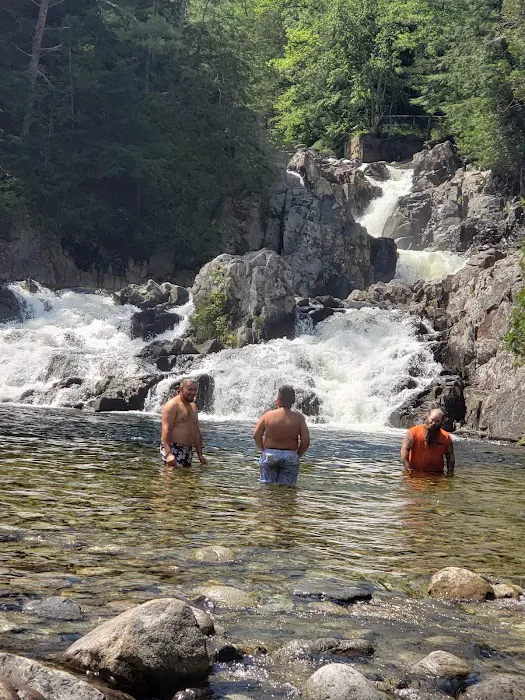 Sharp Bridge Campground Picture 10