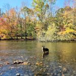 Salt Rock State Campground