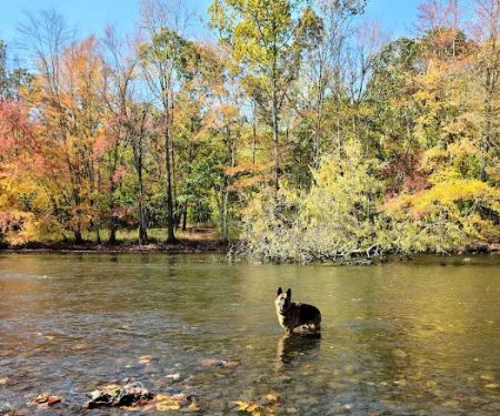 Salt Rock State Campground
