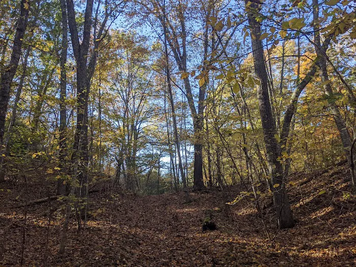Salt Rock State Campground Picture 10