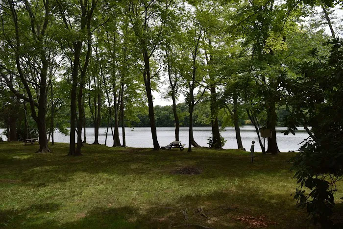 Ross Hill RV Park Picture 6