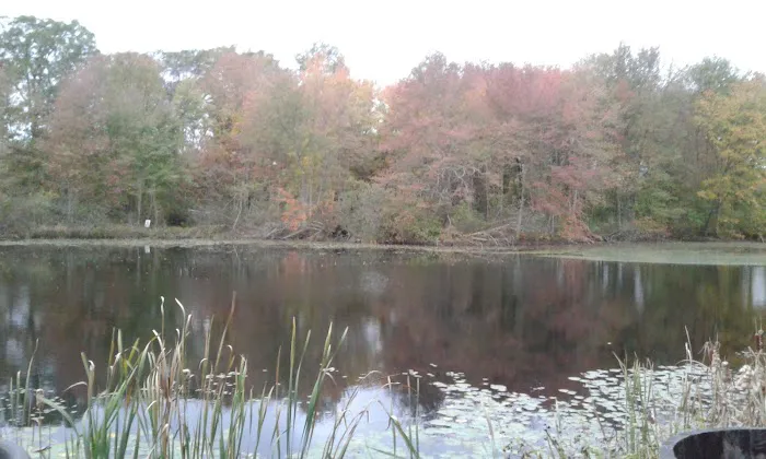Sunny Waters Mobile Home Park Picture 4
