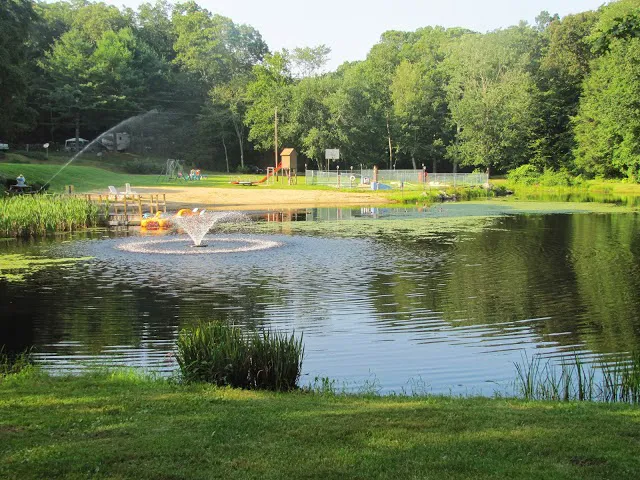 Sunfox Campground LLC Picture 5