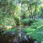 Sunfox Campground LLC