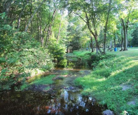 Sunfox Campground LLC