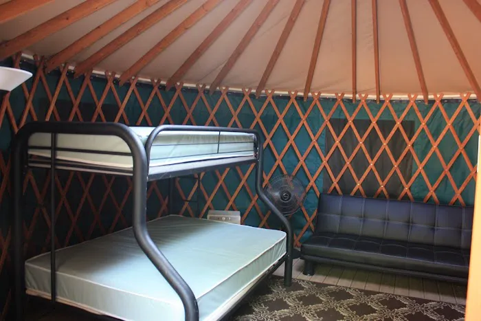 Odetah Camping Resort Picture 3
