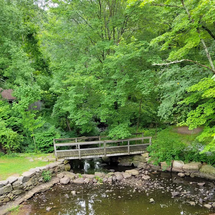 Sutton Falls Camping Area Picture 8