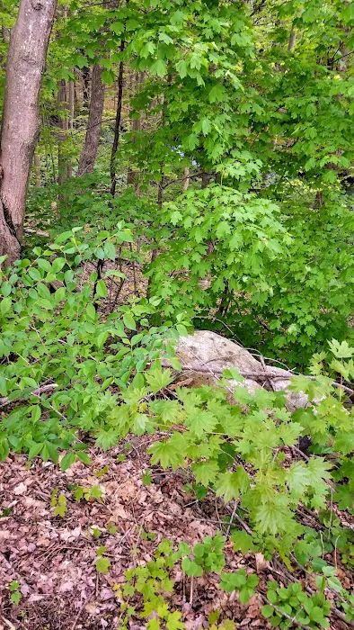 Littleton Motor Court Picture 8