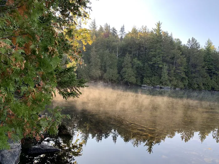 Eastern Shore Campground, Copperas Pond Picture 2