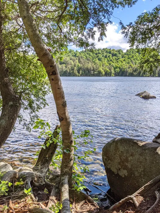 Eastern Shore Campground, Copperas Pond Picture 9