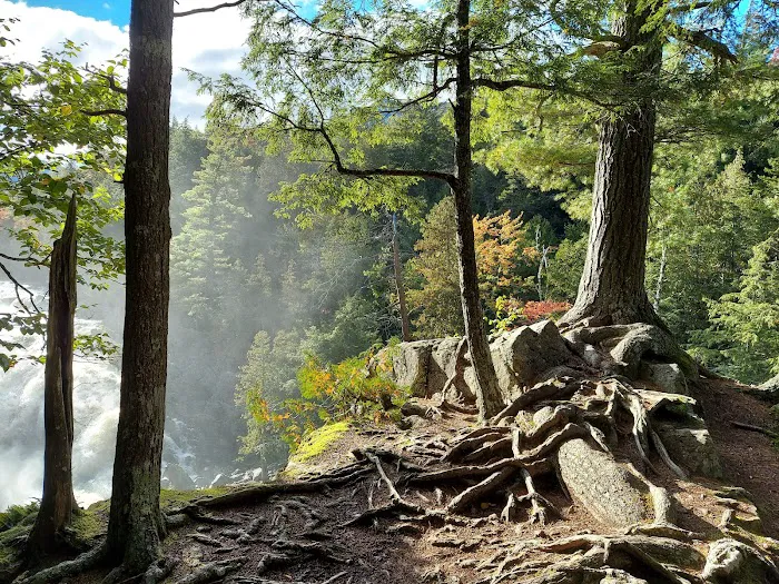 Wilmington Notch Campground Picture 10