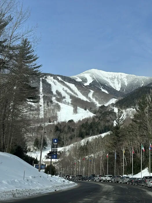 Wilmington Notch Campground Picture 9