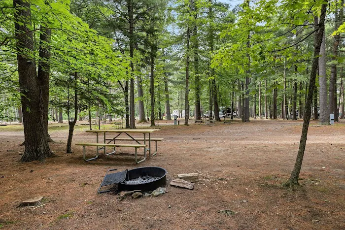 Camp Whiteface Mountain Picture 3