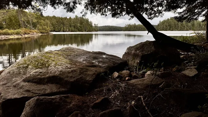 Saranac Lake Islands Campground - Campsite #87 Picture 1