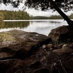 Saranac Lake Islands Campground - Campsite #87