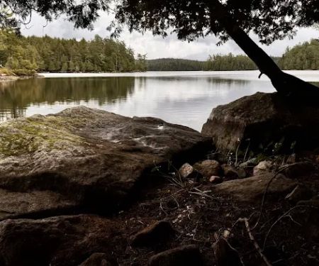 Saranac Lake Islands Campground - Campsite #87
