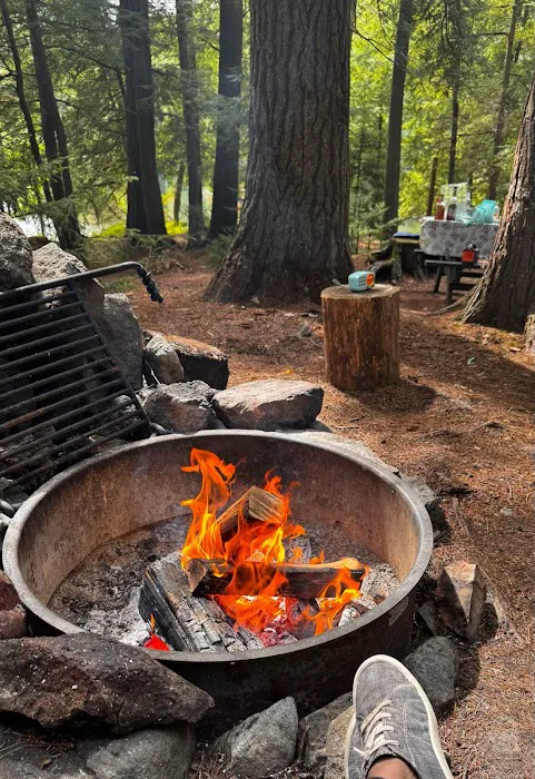 Saranac Lake Islands Campground - Campsite #87 Picture 9