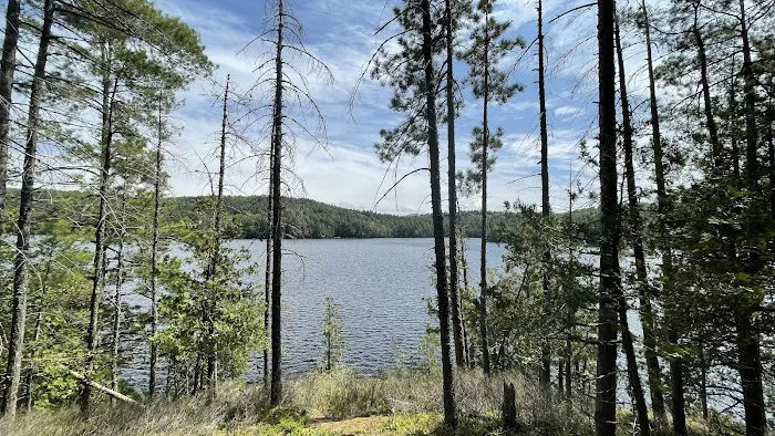 Saranac Lake Islands Campground - Campsite #6 Picture 10