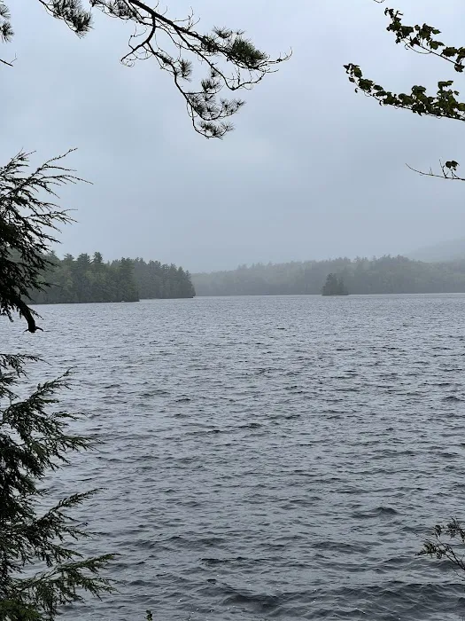 Saranac Lake Islands Campground - Campsite #6 Picture 8
