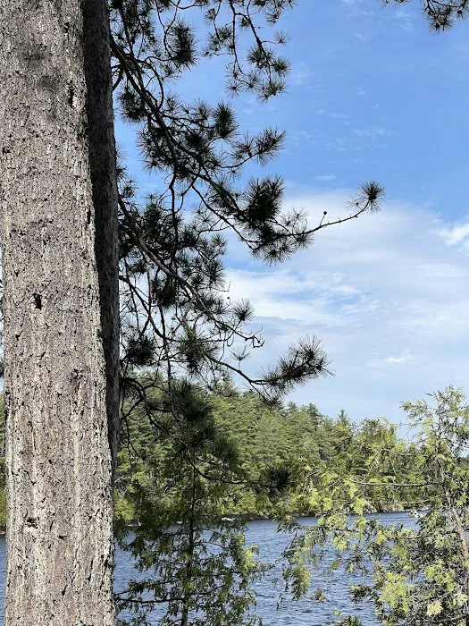 Saranac Lake Islands Campground - Campsite #6 Picture 2