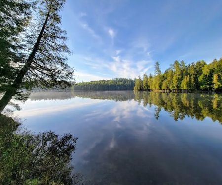 Saranac Lake Islands Campground - Campsite #44