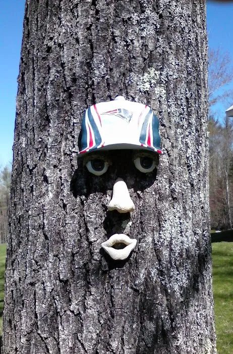 Scandia Park Picture 3