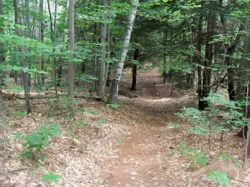 Harbor Hill Camping Area Picture 4