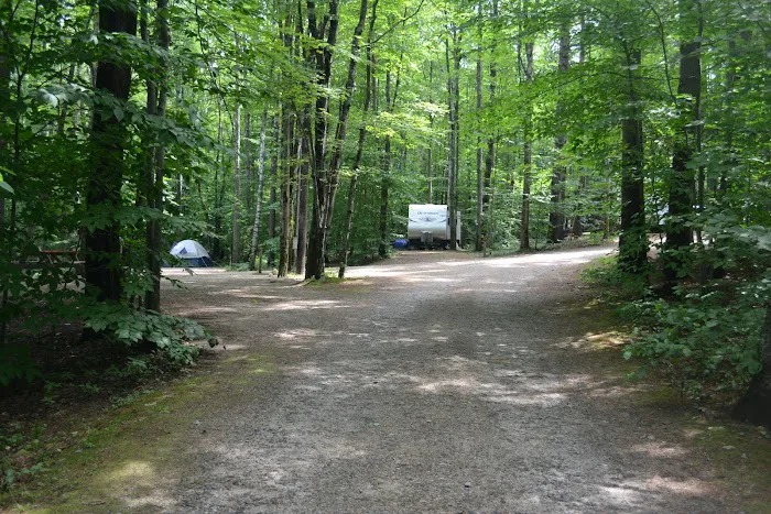 Harbor Hill Camping Area Picture 9