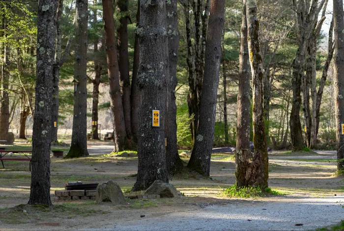Epsom Valley Campground Picture 6