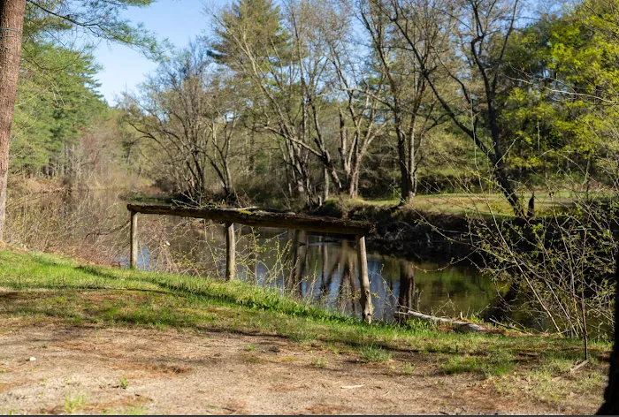 Epsom Valley Campground Picture 9
