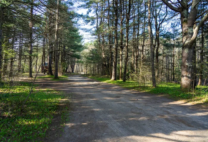 Epsom Valley Campground Picture 5