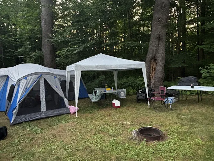 Pine Hollow Campground Picture 4