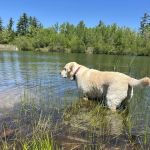 Turtle Kraal RV Park