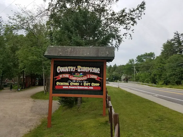 Country Bumpkins Campground and Cabins Picture 8