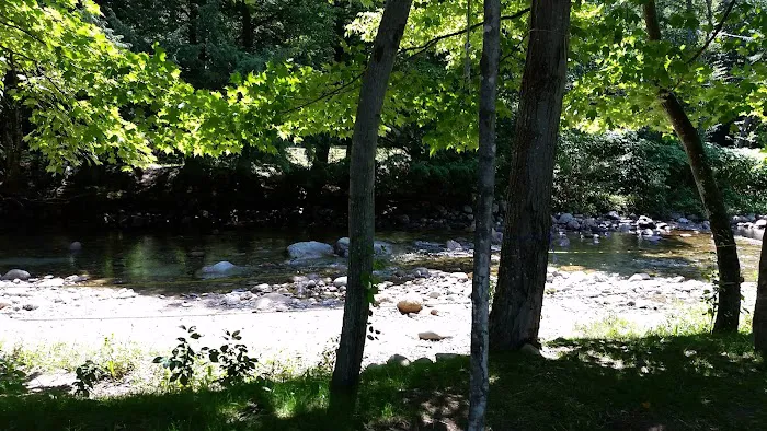 Country Bumpkins Campground and Cabins Picture 1
