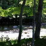 Country Bumpkins Campground and Cabins