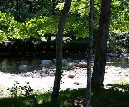 Country Bumpkins Campground and Cabins