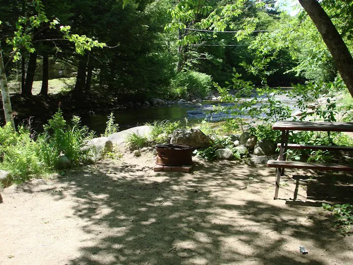 Country Bumpkins Campground and Cabins Picture 6