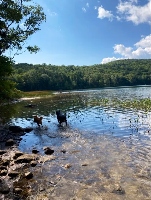 Russell Pond Campground Picture 2