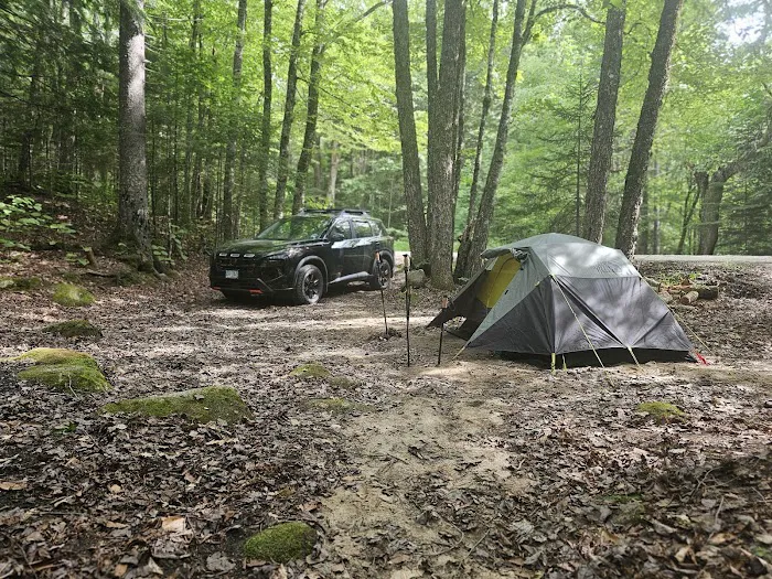 Tripoli Rd Camping Area Picture 9