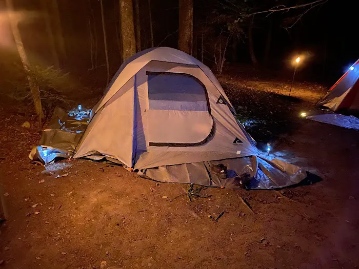 Tripoli Rd Camping Area Picture 8