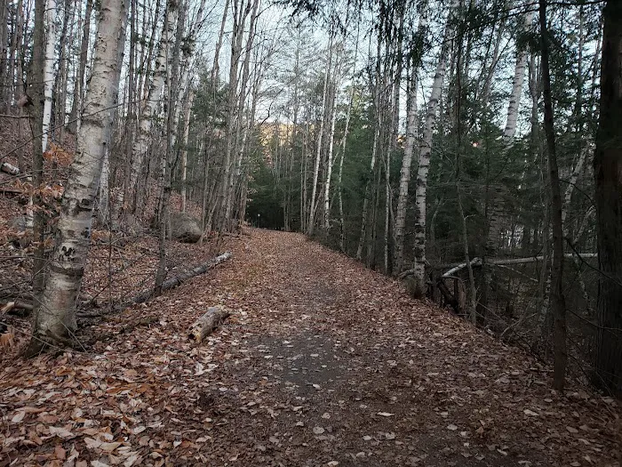Hancock Campground Picture 10