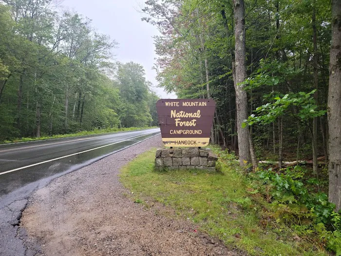 Hancock Campground Picture 7