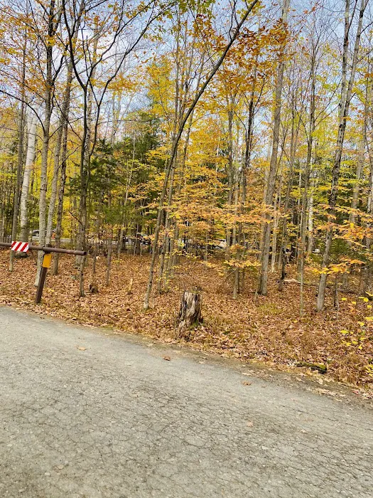 Hancock Campground Picture 9