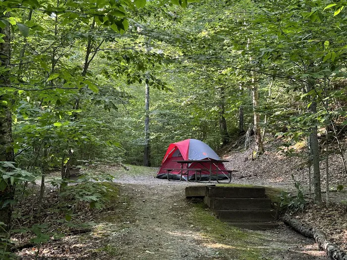Big Rock Campground Picture 2